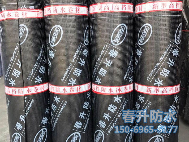 弹性体SBS/塑性体APP防水卷材