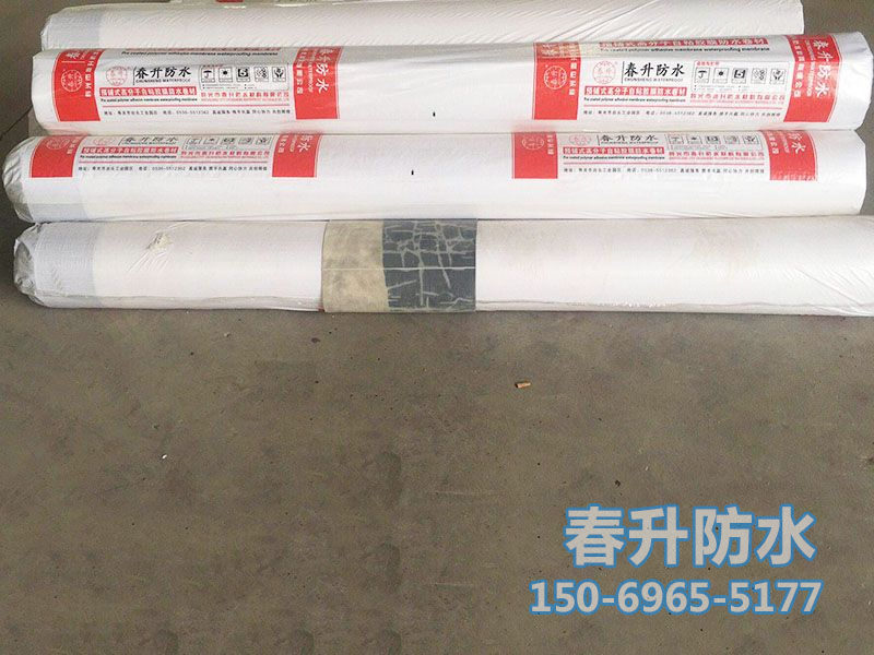 高分子HDPE(EVA)耐根穿刺防水卷材