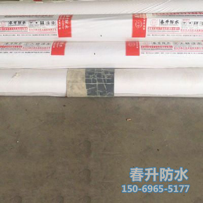 高分子HDPE(EVA)耐根穿刺防水卷材